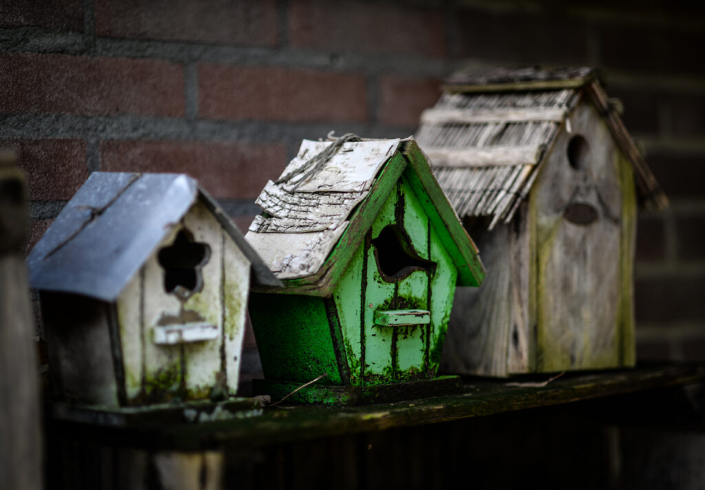 Downsize your house